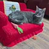 Entry image for Sassy