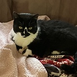 Entry image for Sabrina