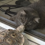 Entry image for Katya