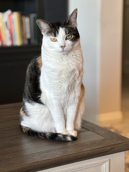 Entry image for Purl. Clicking this image will show a larger photo