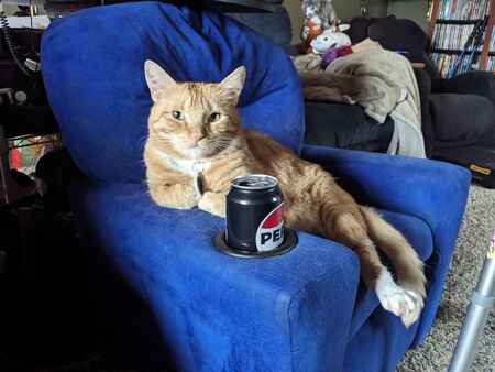 Entry image for Rosie. Clicking this image will show a larger photo