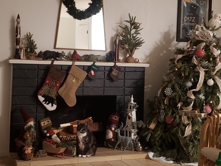 Entry image for Luci. Clicking this image will show a larger photo