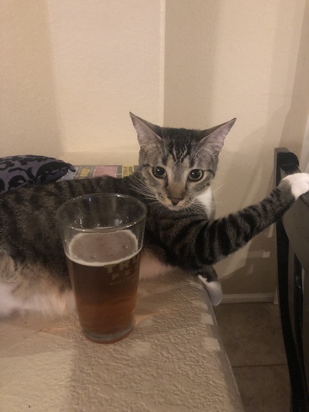 Entry image for Gallen. Clicking this image will show a larger photo