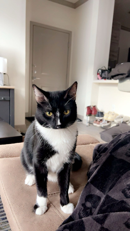 Entry image for Cilo. Clicking this image will show a larger photo