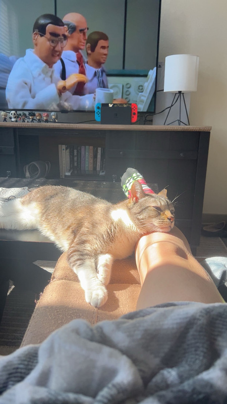 Entry image for Chonk . Clicking this image will show a larger photo