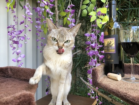 Entry image for Ka. Clicking this image will show a larger photo