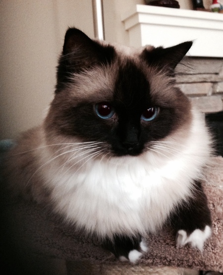 Entry image for Cherish . Clicking this image will show a larger photo