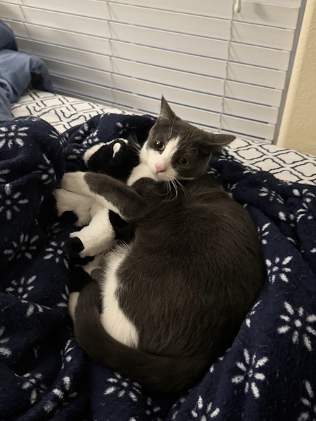 Entry image for June Bug & the stolen stuffy. Clicking this image will show a larger photo