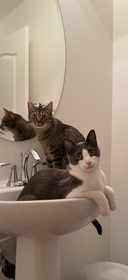 Entry image for Charlie and Reyna. Clicking this image will show a larger photo