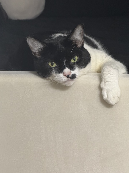 Entry image for Cathie. Clicking this image will show a larger photo