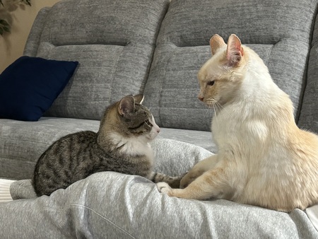 Entry image for Davy and Freddy. Clicking this image will show a larger photo