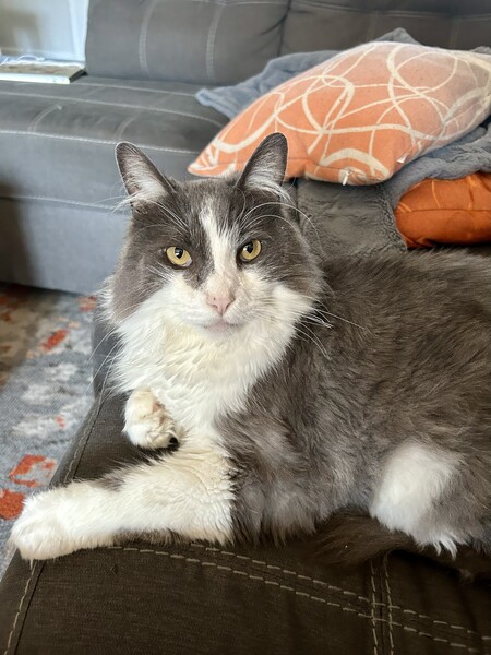 Entry image for Raider. Clicking this image will show a larger photo