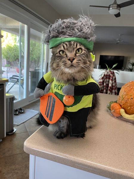 Entry image for Edgar . Clicking this image will show a larger photo