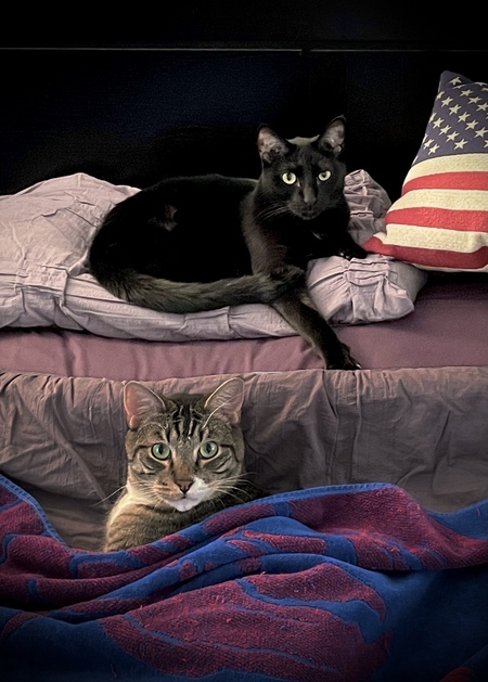 Entry image for Molly & Charlie. Clicking this image will show a larger photo