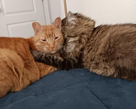 Entry image for Pretty Boy & Little Manny. Clicking this image will show a larger photo