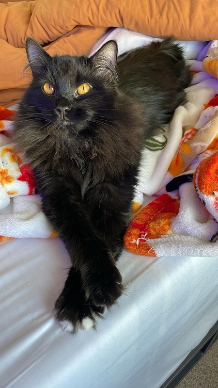 Entry image for Adelaide . Clicking this image will show a larger photo