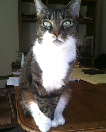 Entry image for Sky. Clicking this image will show a larger photo