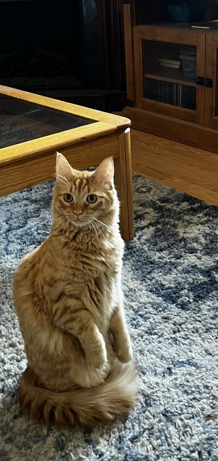 Entry image for 🥜 . Clicking this image will show a larger photo