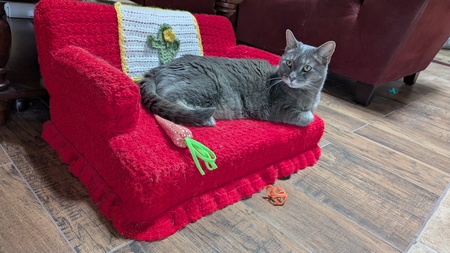 Entry image for Sassy. Clicking this image will show a larger photo