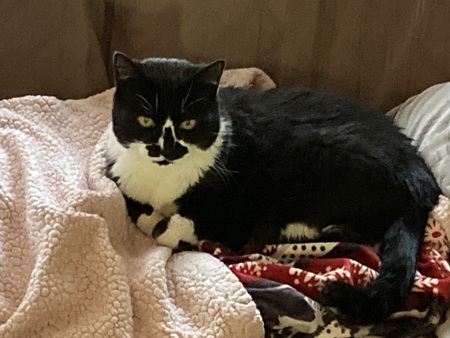 Entry image for Sabrina. Clicking this image will show a larger photo