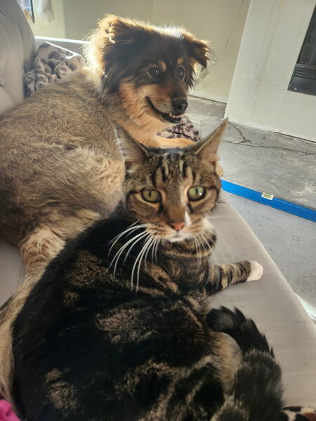 Entry image for Kwali. Clicking this image will show a larger photo