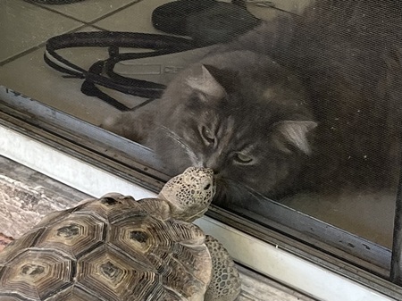 Entry image for Katya. Clicking this image will show a larger photo