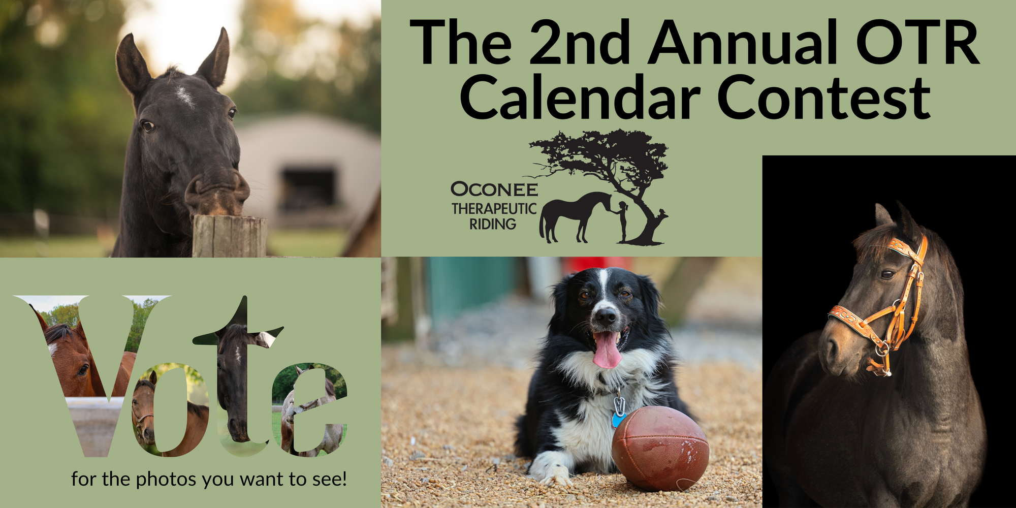 Banner for Oconee Therapeutic Riding 2026 Calendar Contest