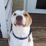 Entry image for Albert