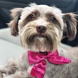 Entry image for Elie Mae