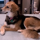 Entry image for Willa (aka Hailey)