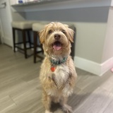 Entry image for Clark kent