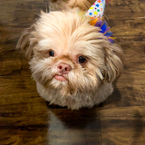 Entry image for Chunky Monkey 