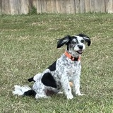 Entry image for Willow Grace