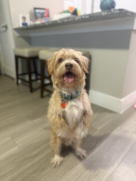 Entry image for Clark kent. Clicking this image will show a larger photo