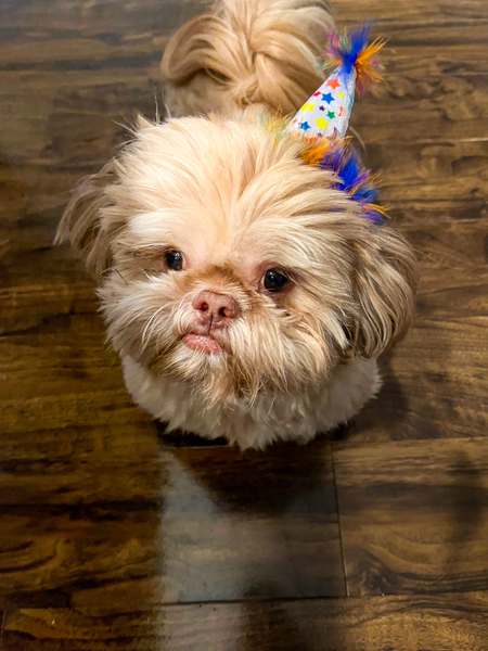 Entry image for Chunky Monkey . Clicking this image will show a larger photo