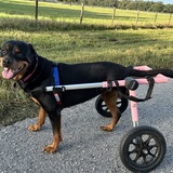 Entry image for Myah