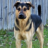 Entry image for Riggs