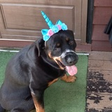 Entry image for Chyna