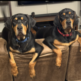 Entry image for Yaz and Remy