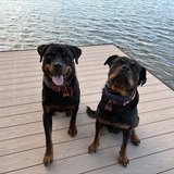 Entry image for Festus & Miley