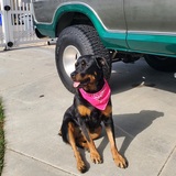 Entry image for Nina