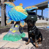 Entry image for Fritz