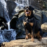 Entry image for Toby