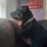 Entry image for Bonnie