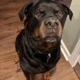 Entry image for Esko