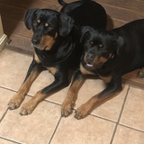 Entry image for Butch/Eve