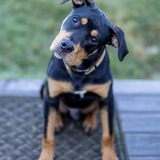 Entry image for Tucker