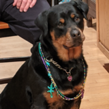 Entry image for Ember