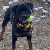 Entry image for Sully