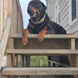 Entry image for Malachi 